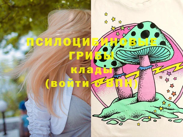 круглые Алзамай