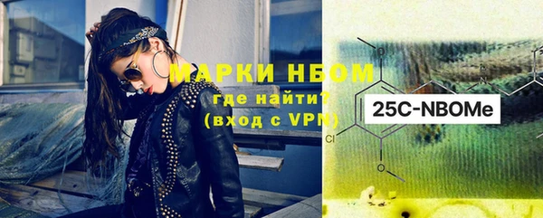 прущие грибы Абаза