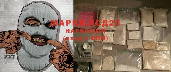 прущие грибы Абаза