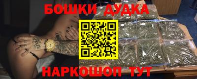 индика Бийск