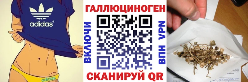 Псилоцибиновые грибы прущие грибы  как найти наркотики  Архангельск 