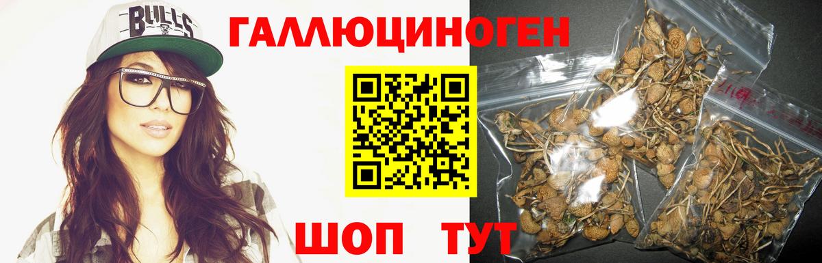 Галлюциногенные грибы мицелий  купить наркотик  Архангельск  Вход с VPN 